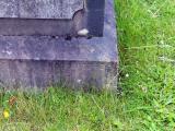image of grave number 605633